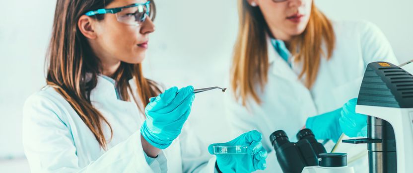 Curso Universitario de Especialización en Ensayos Biotecnológicos