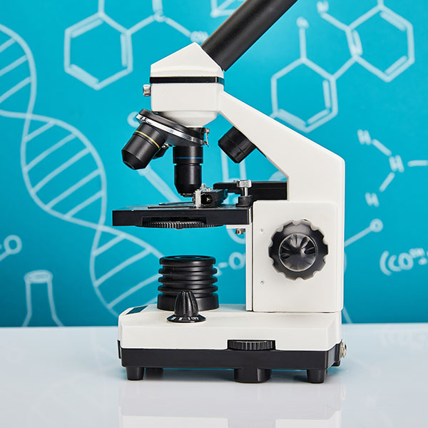 Experto Universitario en Avances y Aplicaciones en Biología Molecular