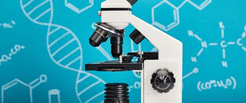 Experto Universitario en Avances y Aplicaciones en Biología Molecular