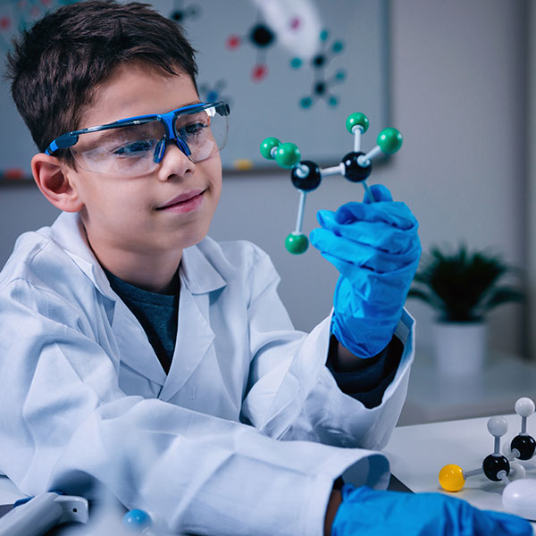 Curso Universitario de Especialización en Técnicas Alternativas a la Biología Molecular para la Extracción de Metabolitos