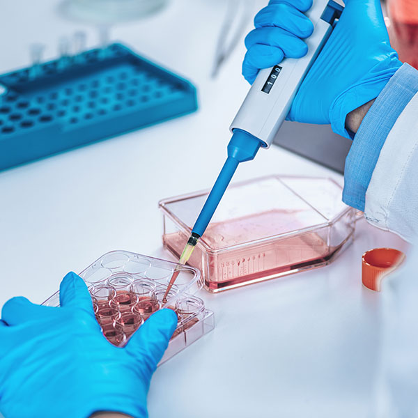 Curso Universitario de Especialización en Técnicas de Preparación y Análisis en Laboratorios Biotecnológicos