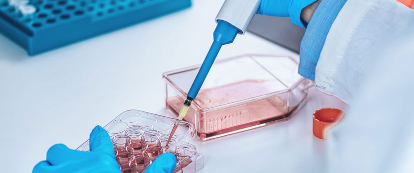 Curso Universitario de Especialización en Técnicas de Preparación y Análisis en Laboratorios Biotecnológicos