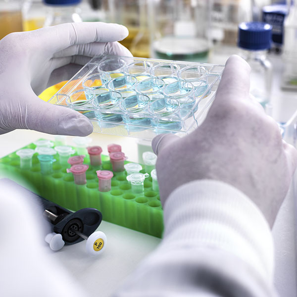 Curso Universitario de Especialización en Bioestadística e Ingeniería Biomédica