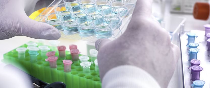 Curso Universitario de Especialización en Bioestadística e Ingeniería Biomédica