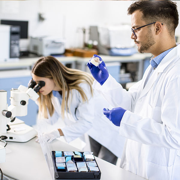 Experto Universitario en Gestión y Operativa de Almacenes en el Sector Químico