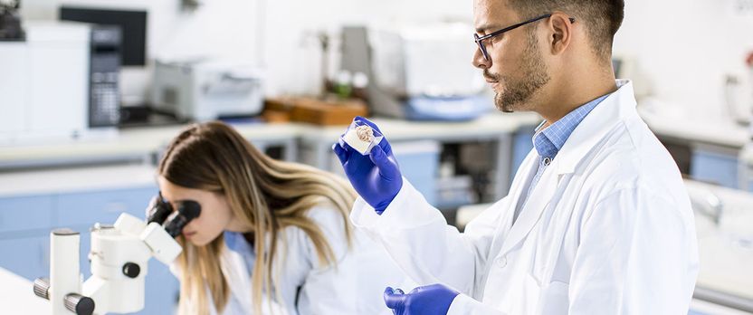 Experto Universitario en Gestión y Operativa de Almacenes en el Sector Químico