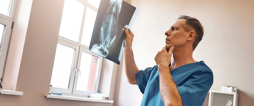 Experto Universitario en Valoración Judicial y Consultoría Veterinaria