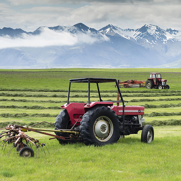 Curso en Gestión Sostenible de Explotaciones Agrícolas Orgánicas