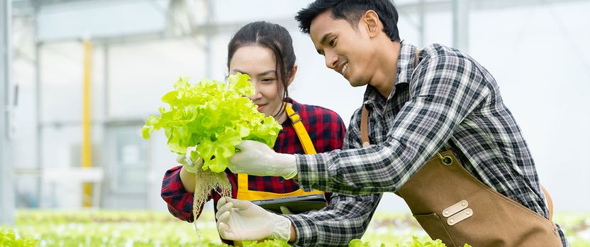 Especialista en Asistencia y Tecnologías Avanzadas en Agricultura