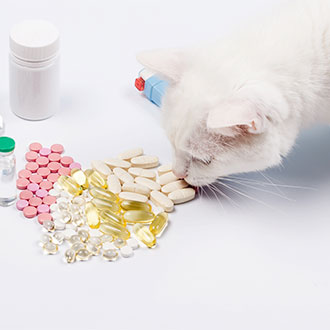 Curso Universitario de Especialización en Dietética y Nutrición Veterinaria