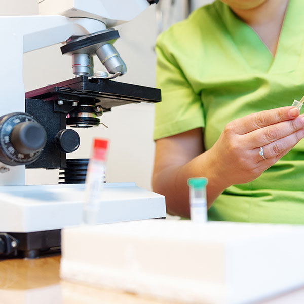 Curso de Desarrollo Profesional en Análisis de Laboratorio en Muestras Biológicas de Animales