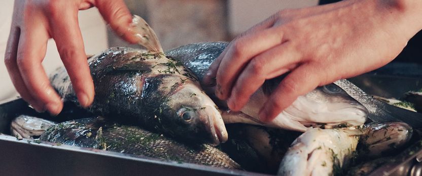 Curso de Desarrollo Profesional en Preparación y Presentación Gourmet de Mariscos y Pescados