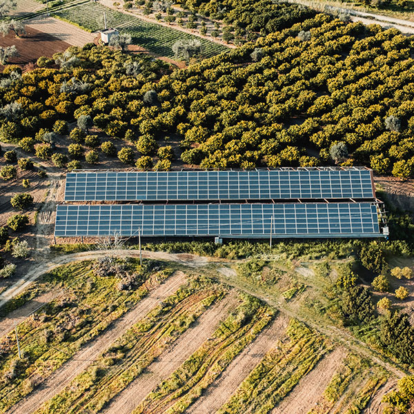 Curso en Técnicas de Ahorro Energético en el Sector Agrícola