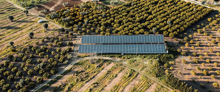 Curso en Técnicas de Ahorro Energético en el Sector Agrícola