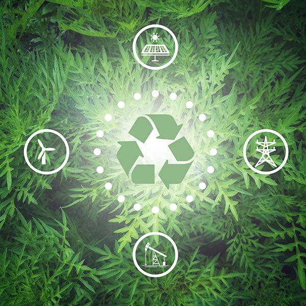 Curso en Fundamentos y Aplicaciones de las Energías Renovables
