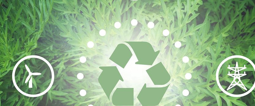 Curso en Fundamentos y Aplicaciones de las Energías Renovables