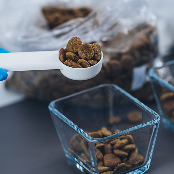 Curso en Elaboración de Piensos, Alimentos Secos y Premezclas