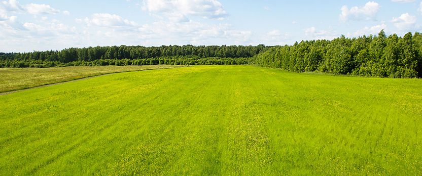Curso en Principios y Prácticas de la Agricultura Ecológica