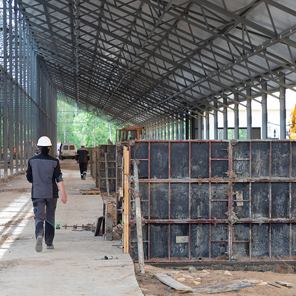 Experto Universitario en Prácticas Sostenibles y Bienestar Animal en Ganadería Orgánica