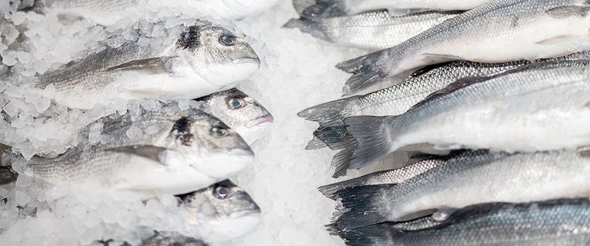 Especialista en Técnicas Avanzadas y Sostenibilidad en Productos del Mar