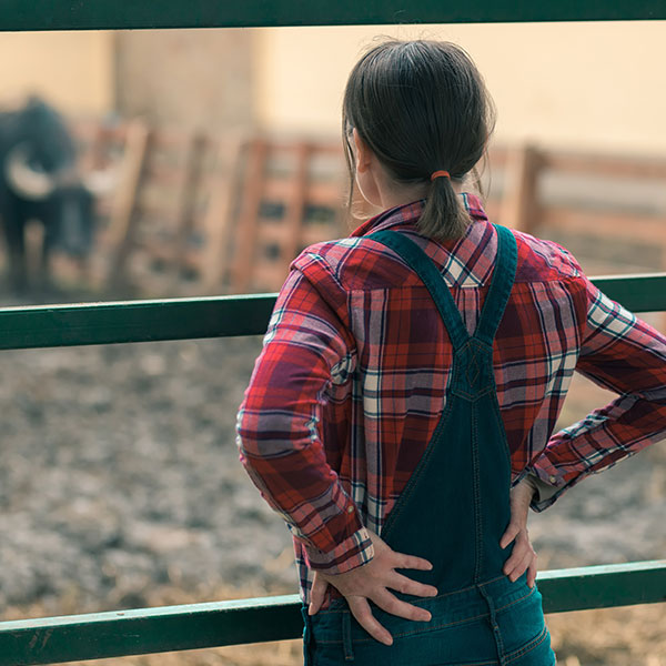 Especialista en Actividades Auxiliares en Ganadería