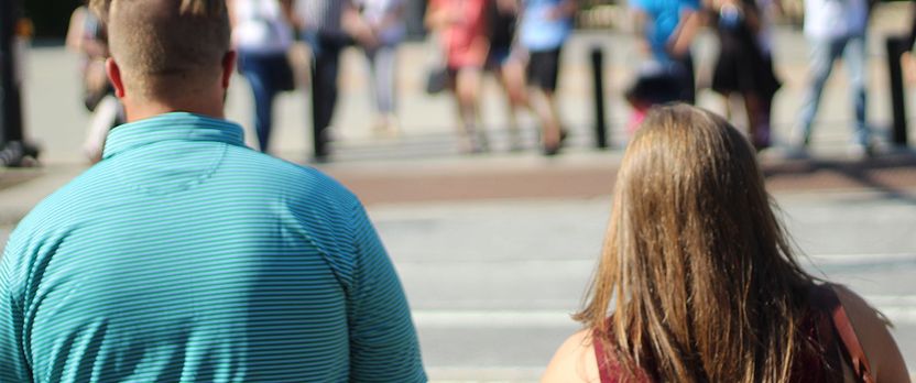 Curso Universitario de Especialización en Estrategias de Manejo y Prevención de la Obesidad