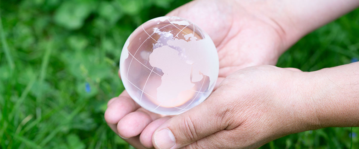 El impacto de la formación online en el medio ambiente: una perspectiva ecológica