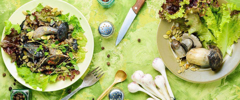 Curso de Desarrollo Profesional en Dietética Vegetariana Saludable