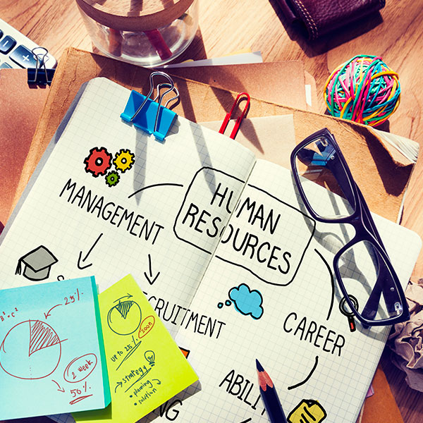 Curso de Desarrollo Profesional en People Analytics