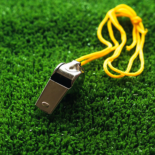 Curso de Desarrollo Profesional en Arbitraje de Fútbol