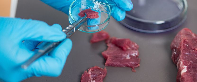 Curso Superior en Técnico en Seguridad Alimentaria y Manipulación en la Alimentación