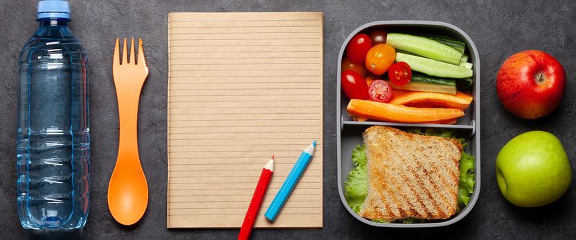 Curso de Desarrollo Profesional en Nutrición en Educación Secundaria