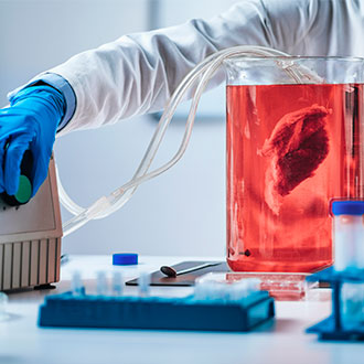 Curso Universitario de Especialización en Técnico en Biotecnología Alimentaria