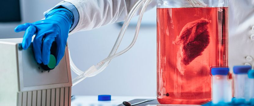 Curso Universitario de Especialización en Técnico en Biotecnología Alimentaria