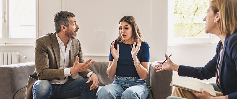 Máster de Formación Permanente en Mediación Familiar y Social: Estrategias en la Resolución de Conflictos e Inclusión Sociolaboral