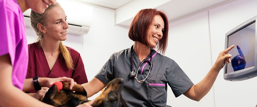 Curso Superior en Técnicas de Diagnóstico Veterinario