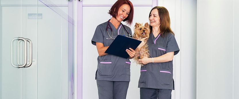 Curso de Desarrollo Profesional en Homeopatía Veterinaria Aplicada