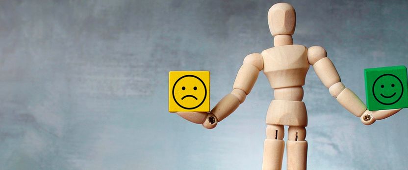 Curso Universitario de Especialización en Inteligencia Emocional: Fundamentos, Aplicaciones y Desarrollo Personal