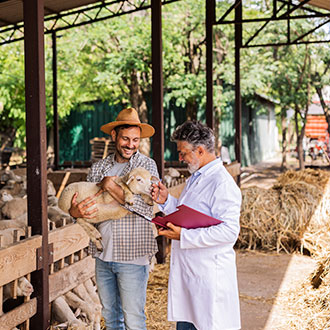 Curso en Control Sanitario y Bienestar Animal en Explotaciones Ganaderas