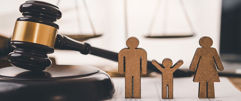 Curso de Desarrollo Profesional en Derecho de Familia y Protección Jurídica del Menor: Matrimonio, Filiación y Tutela