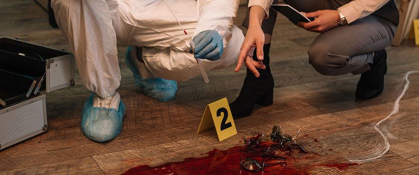 Curso de Desarrollo Profesional en Psicología Forense Aplicada: Evaluación, Informe Pericial y Práctica Judicial