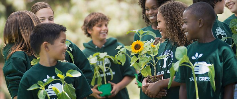 Curso de Desarrollo Profesional en Educación Ambiental y Técnicas de Sensibilización Ecológica