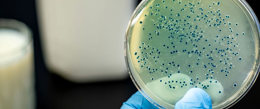 Curso en Prevención de Legionelosis y Gestión de Instalaciones de Riesgo