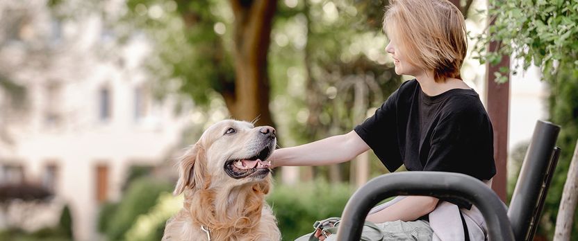 Curso de Desarrollo Profesional en Adiestramiento y Vinculación de Perros de Asistencia para Personas con TEA