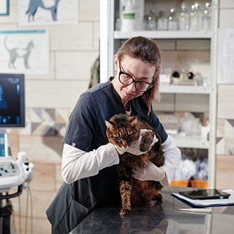 Curso de Desarrollo Profesional en Oncología Veterinaria: Diagnóstico, Tratamiento y Técnicas de Imagen Clínica