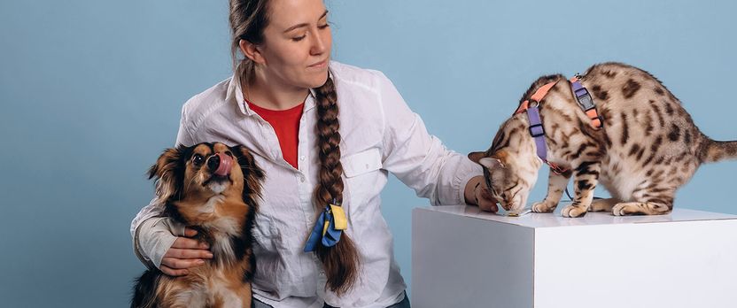 Curso en Psicología Canina y Felina: Evaluación y Modificación de Conductas