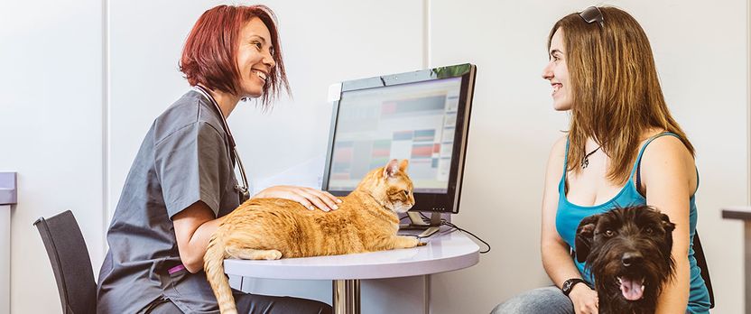 Curso de Desarrollo Profesional en Rehabilitación Veterinaria y Técnicas Fisioterapéuticas Aplicadas a Animales