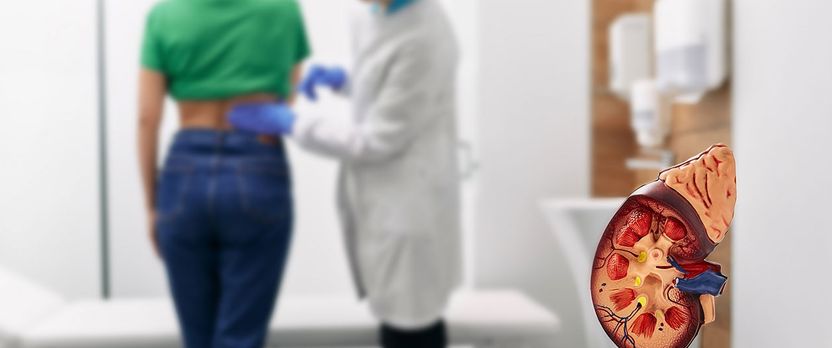 Curso de Desarrollo Profesional en Insuficiencia Renal, Urolitiasis y Análisis de Orina