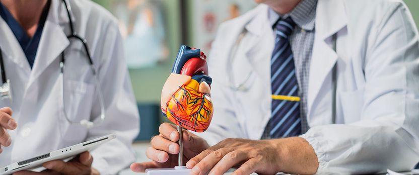 Curso de Desarrollo Profesional en Enfermería en Cardiología Clínica y Crítica