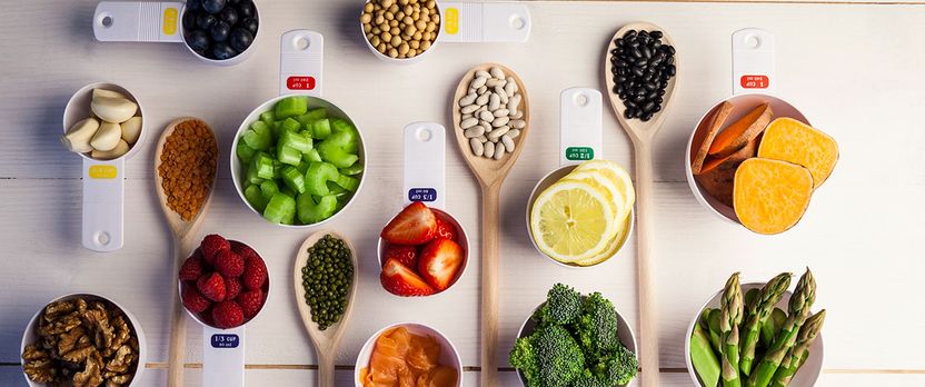 Curso de Desarrollo Profesional en Fundamentos de Nutrición y Alimentación por Etapas de Vida